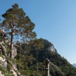 Traunstein Aussicht beim Aufstieg am Naturfreundesteig