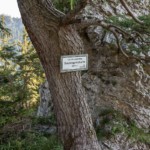 Sulzkogelscharte beim Aufstieg am Naturfreundesteig auf 800m