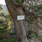 Sulzkogelscharte beim Aufstieg am Naturfreundesteig auf 800m