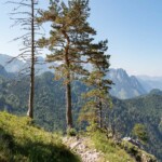 Traunstein - Abstieg zur Mairalm