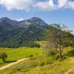 von der Eisenaueralm