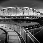 am Ufer der Traun 2017