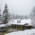 mit meinen Eltern am 31. Dezember 2014