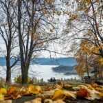 am 1. November (Allerheiligen)